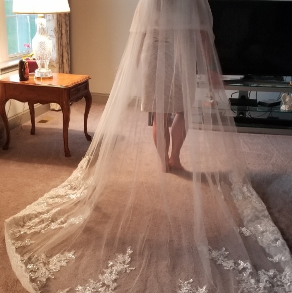 Stunning Cathedral Veil